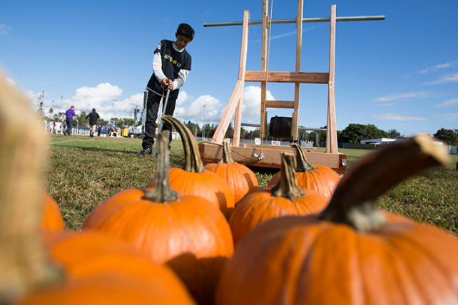 Pumpkin Launch