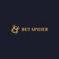 Bet Spider Casino