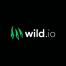 Wild.io Casino