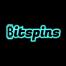 Bitspins