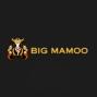 BigMamoo