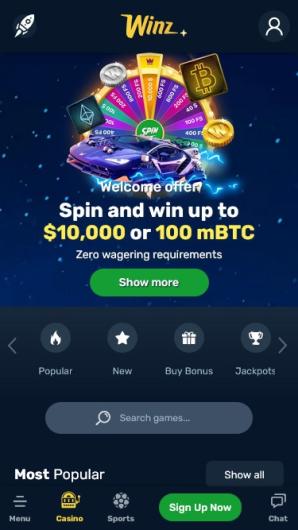 https://winz-casinos.nz/