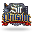 Sir Winsalot icon