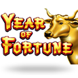 Year Of Fortune icon