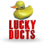 Lucky Ducts