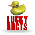 Lucky Ducts icon