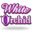 White Orchid logo