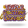 Triple Fortune Dragon icon