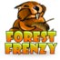 Forest Frenzy