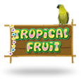 Tropical Fruit icon