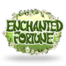 Enchanted Fortune