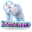 Arctic Wolf