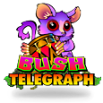 Bush Telegraph icon