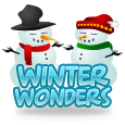 Winter Wonders icon
