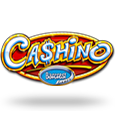 Cashino icon