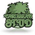 Caribbean Stud Poker icon