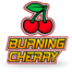 Burning Cherry