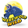 Werewolf Wild icon