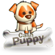 Cash Puppy icon