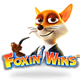 Foxin Wins icon