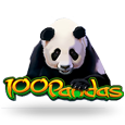 100 Pandas icon
