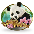 Lucky Panda icon