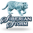 Siberian Storm icon