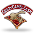 Crazy Camel Cash icon