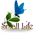 Small Life icon