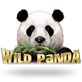 Wild Panda icon