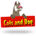 Cats & Dog icon