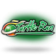 Turtle Run icon