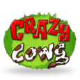 Crazy Cows icon