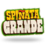 Spiñata Grande