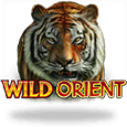 Wild Orient icon