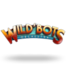 Wild Bots Orchestra