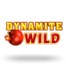 Dynamite Wild