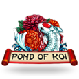Pond Of Koi