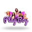 Slot Play Boy