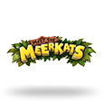 Meet The Meerkats icon