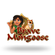 Brave Mongoose