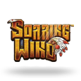 Soaring Wind
