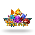 Gold Fish