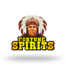 Fortune Spirits