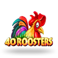 40 Roosters