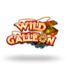 Wild Galleon