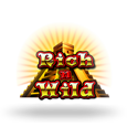 Rich N Wild logo