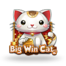Big Win Cat