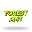 Forest Ant