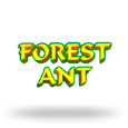 Forest Ant